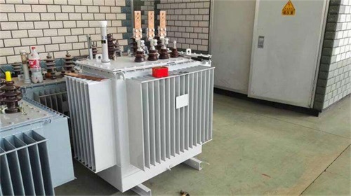 黔南S11-100KVA/10KV/0.4KV油浸式变压器